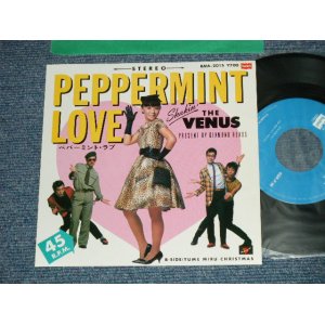 画像: VENUS ヴィーナス　- ペパーミント・ラブ PEPPERMINT LOVE : 夢みるクリスマス (MINT-/MINT-)  / 1981 JAPAN ORIGINALUsed  7"SingleMINT/MINT