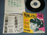 画像: VENUS ヴィーナス　- 情熱のスキャンダル：恋のスピリット(Ex+++/MINT-)  / 1982 JAPAN ORIGINAL "WHITE LABEL PROMO" Used  7"Single