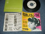 画像: VENUS ヴィーナス　- 情熱のスキャンダル：恋のスピリット(Ex++/MINT- WOFC)  / 1982 JAPAN ORIGINAL "WHITE LABEL PROMO" Used  7"Single