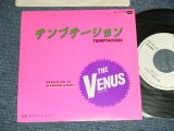 画像: VENUS ヴィーナス　- テンプテーション：キサス DE キサス (MINT/MINT)  / 1982 JAPAN ORIGINAL "WHITE LABEL PROMO" Used  7"SingleMINT/MINT