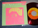 画像: フォーク・クルセダーズ FOLK CRUSADERS - 帰ってきたヨッパライ　：ソーラン節(Ex+++/MINT-) /  JAPAN ORIGINAL "RED WAX Vinyl"   Used 7" Single