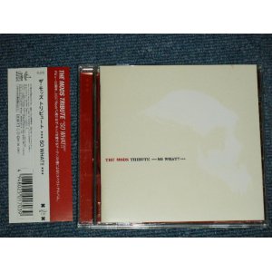 画像: V.A. Omnibus - THE MODS TRIBUTE〜SO WHAT!! (MINT-/MINT)  / 2001 JAPAN ORIGINAL Used  CD with OBI 