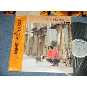 画像: 山木康世(ふきのとう) - 野良犬HOBOの唄（MINT-/MINT-)  / 1981 JAPAN ORIGINAL Used  LP with OBI 3