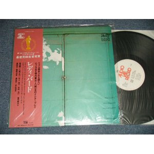 画像: 八木一夫・横内章次 　KAZUO YAGI, SYOJI YOKOUCHI  - LADY BIRD レディ・バード (MINT/MINT) / 1970's JAPAN ORIGINAL Used LP with OBI 