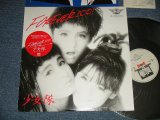 画像: 少女隊 SHOHJO-TAI  - FOREVER 2001 (MINT-/MINT)   /  1985 JAPAN ORIGINAL  Used 12" 