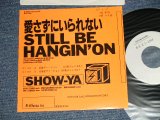 画像: ショーヤ SHOW-YA -  愛さずにいられない STILL BE HANGIN' ON  A) 英語  ENGLISH  B)　日本語  JAPANESE (Ex++/MINT- WOFC)  / 1988 JAPAN ORIGINAL "PROMO ONLY"  Used 7" Single 