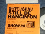 画像: ショーヤ SHOW-YA -  愛さずにいられない STILL BE HANGIN' ON  A) 英語  ENGLISH  B)　日本語  JAPANESE (Ex++/MINT-  STOFC, WOL)  / 1988 JAPAN ORIGINAL "PROMO ONLY"  Used 7" Single 