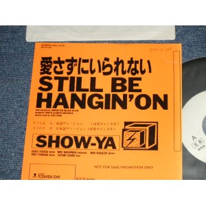 画像: ショーヤ SHOW-YA -  愛さずにいられない STILL BE HANGIN' ON  A) 英語  ENGLISH  B)　日本語  JAPANESE (Ex++/MINT-  STOFC, WOL)  / 1988 JAPAN ORIGINAL "PROMO ONLY"  Used 7" Single 