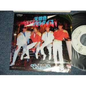 画像: チャンプ  CHAMP  - A) 天然色パラダイス　B) トリップ・パズル (Ex+/MINT- Tape Removed )   / 1982 JAPAN ORIGINAL "WHITE LABEL PROMO"  Used  7" Single  シングル