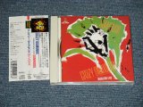 画像: サンハウス SONHOUSE - クレイジー・ダイアモンズ CRAZY DIAMONDS  (MINT-/MINT) / 1990 JAPAN ORIGINAL Used CD  with OBI 