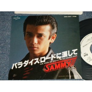 画像: サミー SAMMY  - A) パラダイス・ロードに涙して TEAR DROPS ARE FALLING ON THE PARADISE ROAD  B) ドゥリーム・オブ・パラダイス・ロード（野生の眼）DREAM OF PARADISE ROAD  ( MINT-/MINT-)   / 1981  JAPAN ORIGINAL "WHITE LABEL PROMO" Used 7" Single 