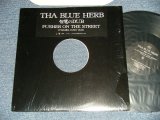 画像: THE BLUE HERB ブルー・ハーブ - 智慧のdub／Pusher On The Street(MINT-/MINT-)  / 200５． JAPAN ORIGINAL Used 12"