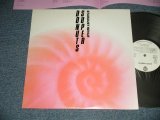 画像: スターダスト・レビュー STARDUST REVUE - SUPER DONUTS (Ex+++/MINT)  / 1987 JAPAN ORIGINAL "WHITE LABEL RPOMO" Used LP 