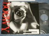 画像: BOOWY ボウイ -  A) 季節が君だけを変える B) CLOUDY HEART  (MINT-/MINT-) / 1987 JAPAN ORIGINAL Used 7" Single 