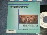 画像: スターダスト・レビュー STARDUST REVUE  - A) 今夜だけきっと B) BABY, IT'S YOU (Ex+++/MINT- SWOFC)  / 1986 JAPAN ORIGINAL "WHITE LABEL PROMO" Used 7" Single 