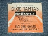 画像: ディキシー・タンタス DIXIE TANTAS - 明日の夢を見るところ (MINT-/MINT) / 1996 JAPAN ORIGINAL "PROMO Only" 3 Tracks Maxi-CD   