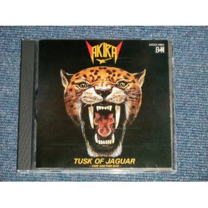 画像: 高崎晃 AKIRA TAKASAKI (ラウドネス LOUDNESS) -  ジャガーの牙 TUSK OF JAGUAR -TAKE ANOTHER BITE-  (MINT-/MINT) / 1986 JAPAN ORIGINAL 1st Press Used CD 