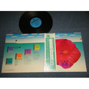 画像: 井上宗孝とシャープ・ファイブ MUNETAKA INOUE & HIS SHARP FIVE -  ハワイアンに挑戦  CHALLENGE TO HAWAIIAN (Ex+++/MINT-) / 1971 JAPAN ORIGINAL Used LP with OBI 