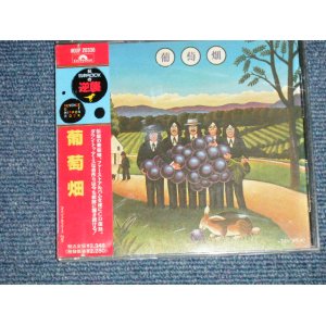 画像: 葡萄畑 BUDOU BATAKE - 葡萄畑 BUDOU BATAKE(1st Album)  (MINT/MIN) / 1989 JAPAN ORIGINAL "Promo" Used  CD  with OBI 