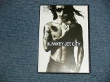 画像: BLANKEY JET CITY ブランキー・ジェット・シティ - MONKEY STRIP ( MINT-.MINT) / 2002 JAPAN ORIGINAL Used DVD 