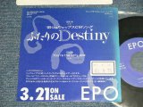 画像: エポ EPO - A) ふたりのDestiny  B) YOU'RE THE ONLY ONE (Ex++/MINT- STOFC, WOL) / 1989 JAPAN ORIGINAL "Promo Only" Used 7" Single