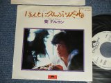 画像: 葵 テルヨシ TERUYOSI AOI - A) ほんとに久しぶりだね  B) 笑っておくれ  (Ex++/Ex+++  WOFC ) / 1976 JAPAN ORIGINAL "WHITE LABEL PROMO"  Used 7" Single 