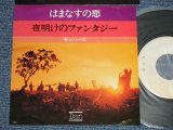 画像: キッパーズ The Kippers - A) はまなすの恋  B) 夜明けのファンタジー (Ex+++/MINT-)  / 1973 JAPAN ORIGINAL "WHITE LABEL PROMO" Used 7"45 Single  