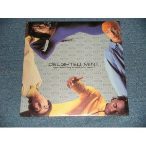 画像: Delighted Mint - Higher Elevation / Along The Bayside (Giant Swang Mix) (SEALED) / 2000 JAPAN ORIGINAL "BRAND NEW SEALED" 12" EP 