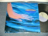 画像: 尾崎亜美 AMII OZAKI  - Lapis Lazuli (MINT/MINT-) /1988 JAPAN ORIGINAL Used LP with SEAL OBI