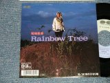 画像: 尾崎亜美 AMII OZAKI - A) Rainbow Tree  B) 時の子守唄 (MINT-/MINT) / 1987 JAPAN ORIGINAL "PROMO" Used 7" Single  