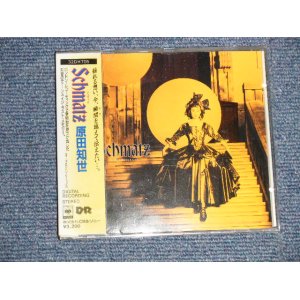 画像: 原田知世 TOMOYO HARADA  - SCHMATZ (Ex/MINT) / 1987 JAPAN ORIGINAL Used CD with OBI 