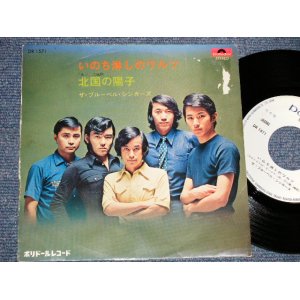 画像: ブルーベル・シンガーズ THE BLUEBELL SINGERS - いのち淋しのワルツ(VG++/Ex+++ TEAR/BROKEOFC, WOBC, ATPOBC) / 1970 JAPAN ORIGINAL "WHITE LABEL PROMO" Used 7" Single 