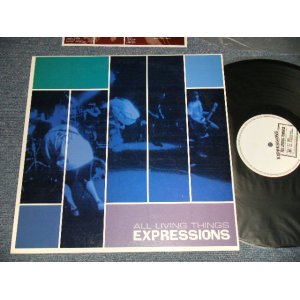 画像: EXPRESSIONS エクスプレッションズ  (HARDCORE) - ALL LIVING THINGS (Ex++/MINT-) / 1998 JAPAN ORIGINAL Used 12" MINI-LP