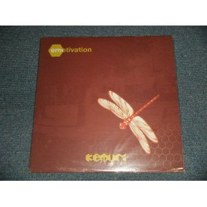 画像: ケムリ KEMURI - EMOTIVATION (NEW) / 2001 JAPAN ORIGINAL "BRAND NEW" LP