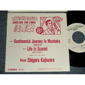 画像: Shigeru Kajiwara - A)SentimentalＪourney In Ｍushaku 無錫旅情 B)Life Is Scarlet 命くれない (MINT-/MINT-) / 1980's JAPAN ORIGINAL "PROMO ONLY" Used 7" Single 