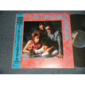 画像: ストリート・スライダーズ The STREET SLIDERS - カメレオン CHAMELEON ( MINT/MINT) /1984 JAPAN ORIGINAL Used 12" with OBI 