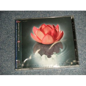 画像:  サディスティック・ミカ・バンド SADISTIC MIKA BAND - NARKISSOS (通常盤) (SEALED) / 2007 JAPAN "Brand New Sealed CD with OBI