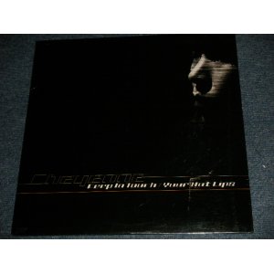 画像: シェイエン CHEYENNE - KEEP ON TOUCH  (SEALED) / 1999 JAPAN ORIGINAL "BRAND NEW SEALED" LP