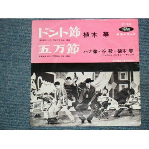 画像: 植木　等　クレイジー・キャッツ　HITOSHI UEKI  & CRAZY CATS - ドント節　/ 1960's  JAPAN ORIGINAL RED WAX VINYL 7"Single 