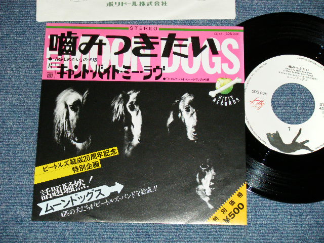 ムーンドッグス Moon Dogs 噛みつきたい 抱きしめたい I Want To Hold Your Paw I Want To Hold Your Hand Can T Buy Me Love Mint Mint 19 Japan Original Used 7 Single シングル パラダイス レコード